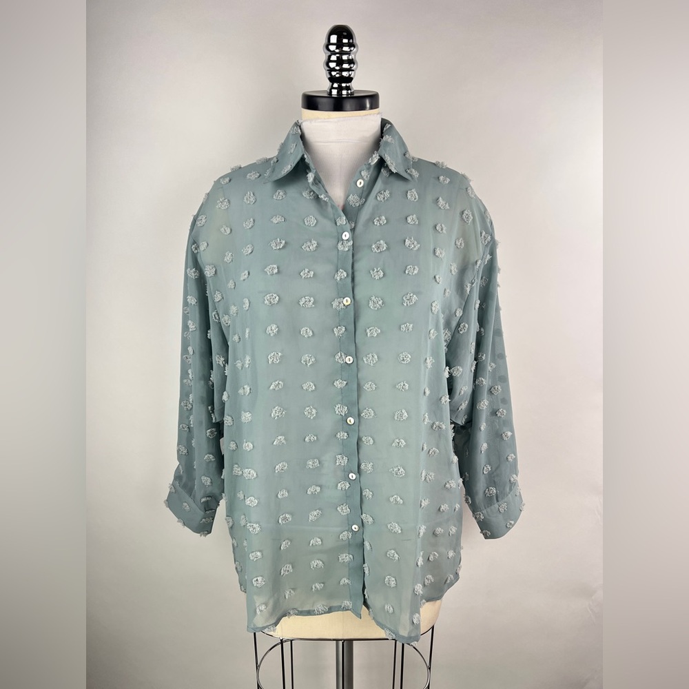💚 3023. Swiss Dot Sheer Button Front Blouse
